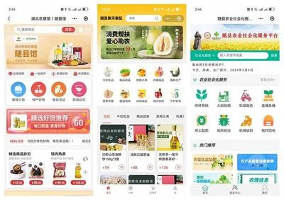 &ldquo;五個(gè)以&rdquo;實(shí)踐體系的隨縣答卷 | 強(qiáng)&ldquo;鏈條&rdquo;通&ldquo;經(jīng)絡(luò)&rdquo;--奮力打造城鄉(xiāng)供應(yīng)鏈一體化平臺的&ldquo;隨縣實(shí)踐&rdquo;